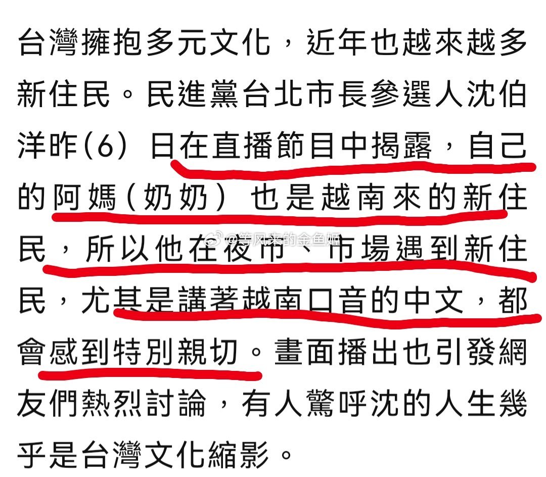 发现台独分子沈伯洋跟当初在香港闹事的黄尸有个共通性，都有越南血统？说自己奶奶是越
