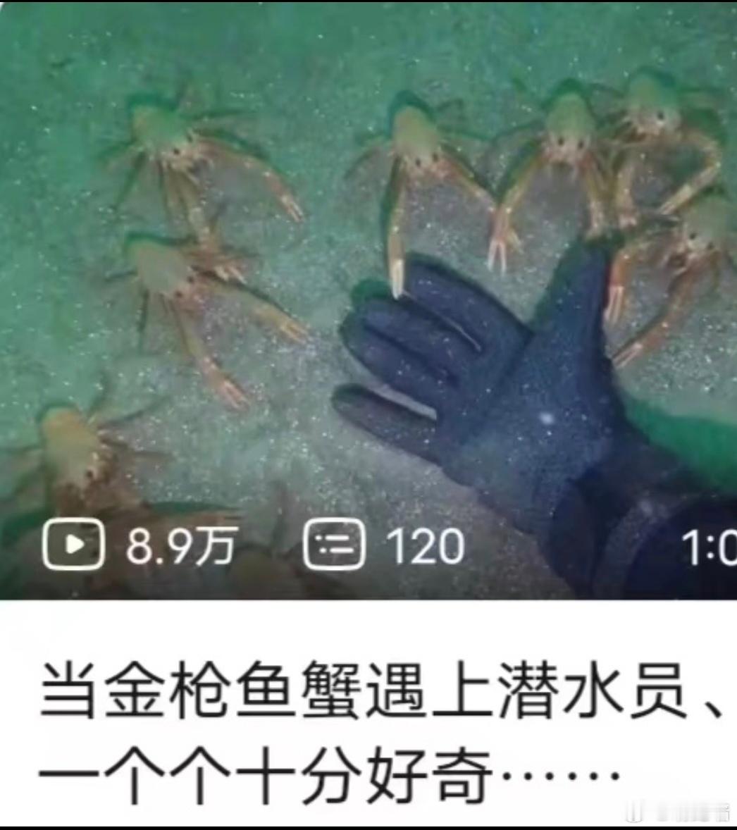 人：生物在摸我 这很可爱生物：如果我们能把这个大东西掰下来一小块的话我们就要开始