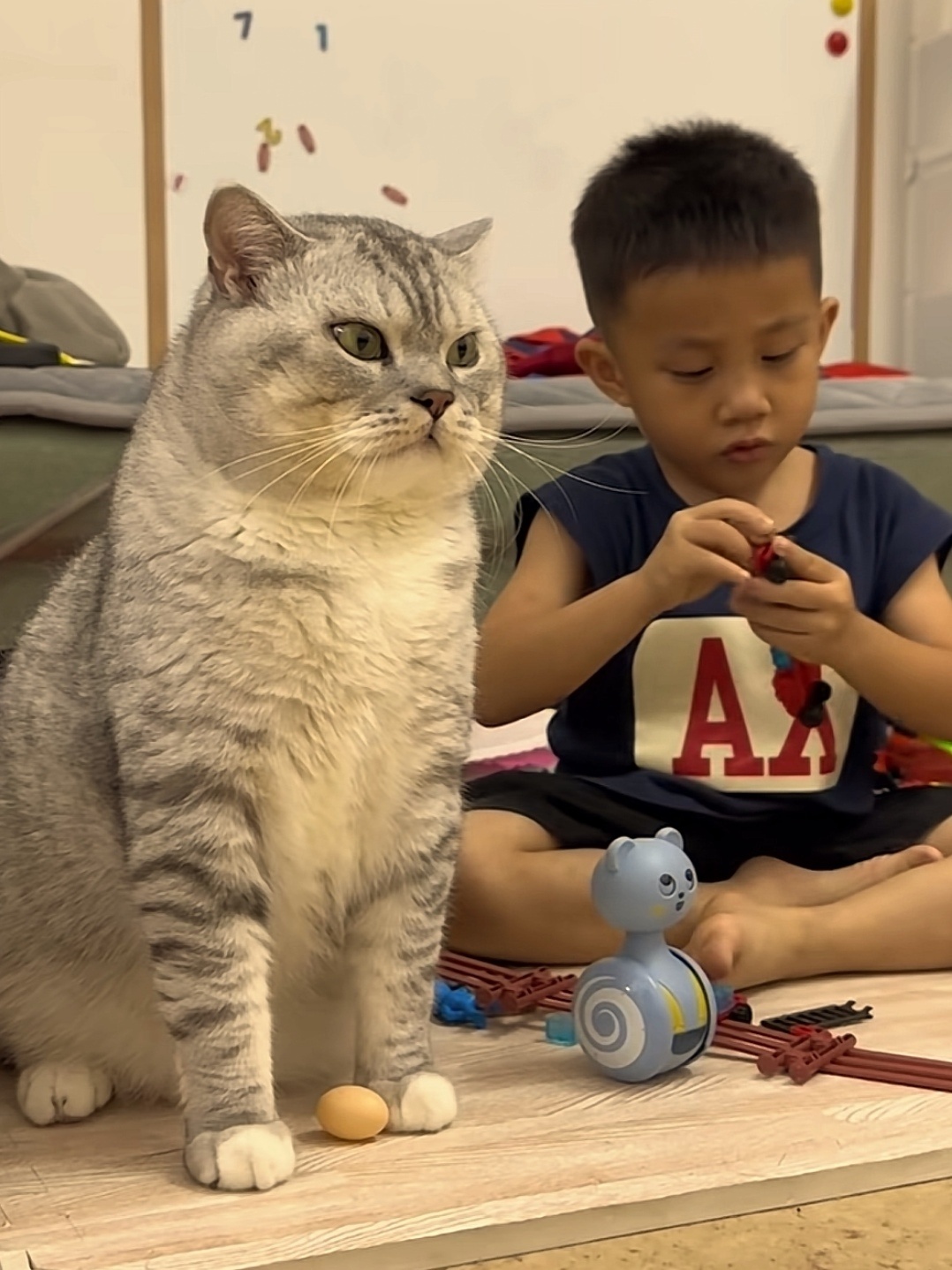 这猫怎么比小朋友还大 ​​​