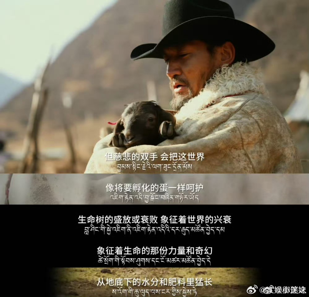 金巴为生命树写90秒影像诗 金巴真的太会了！用90秒影像诗，诉说对土地最深的眷恋