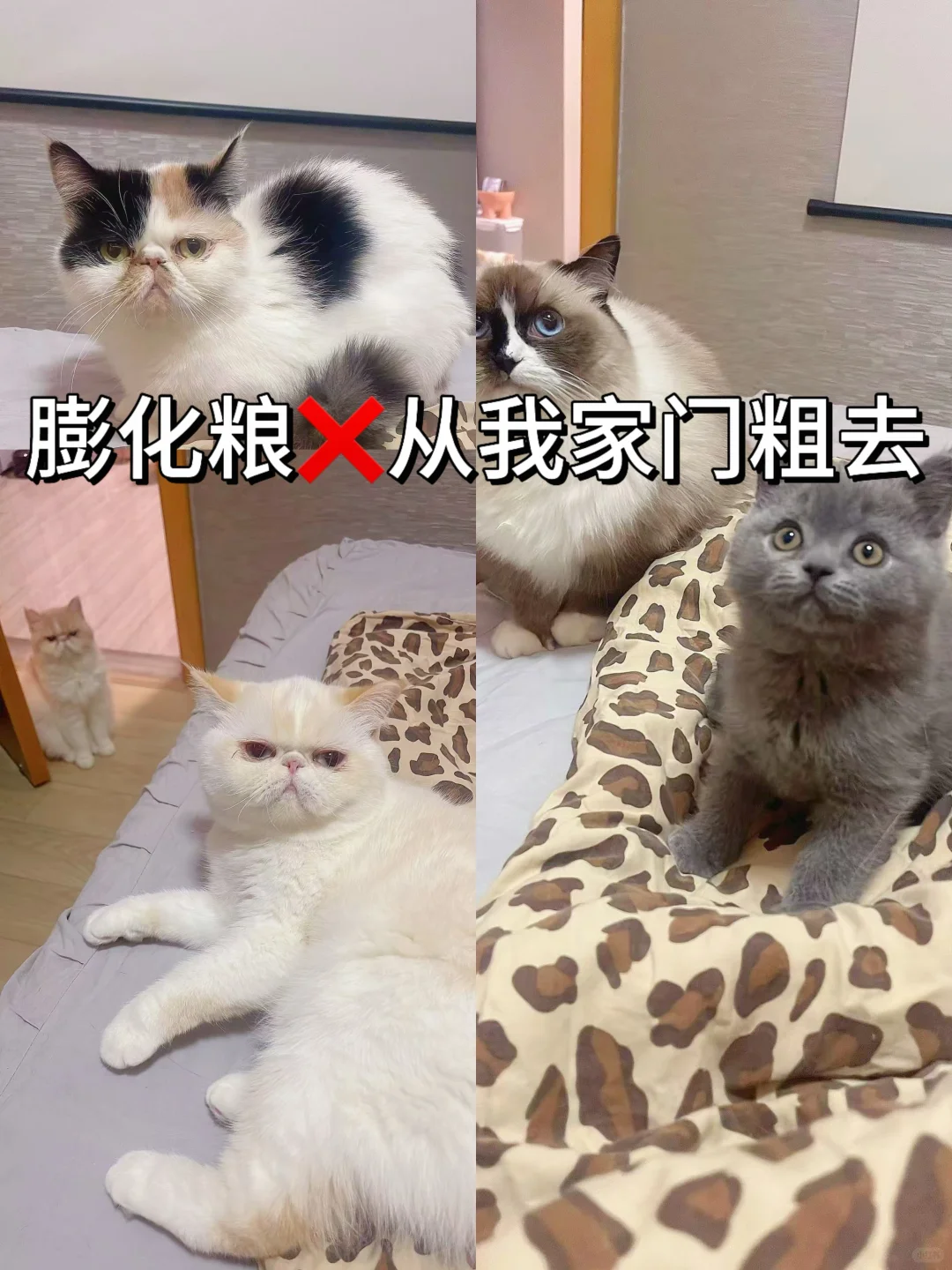避雷了。。。膨化粮不严选