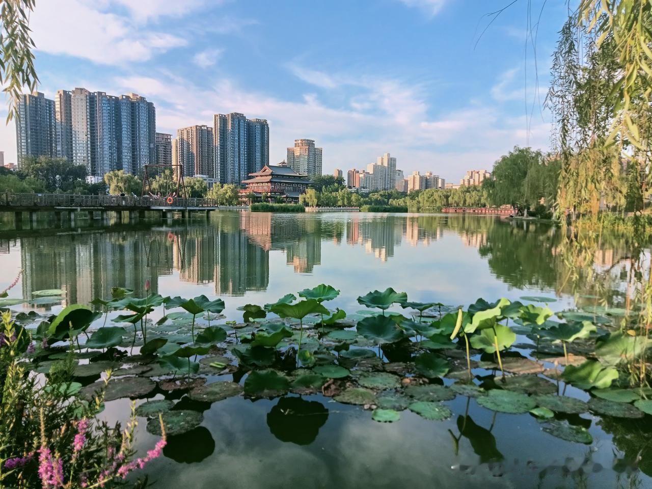 晚上快7点，吃过晚饭后我到兴庆宫公园去纳凉。我打小就在兴庆宫附近居民院落长大可以