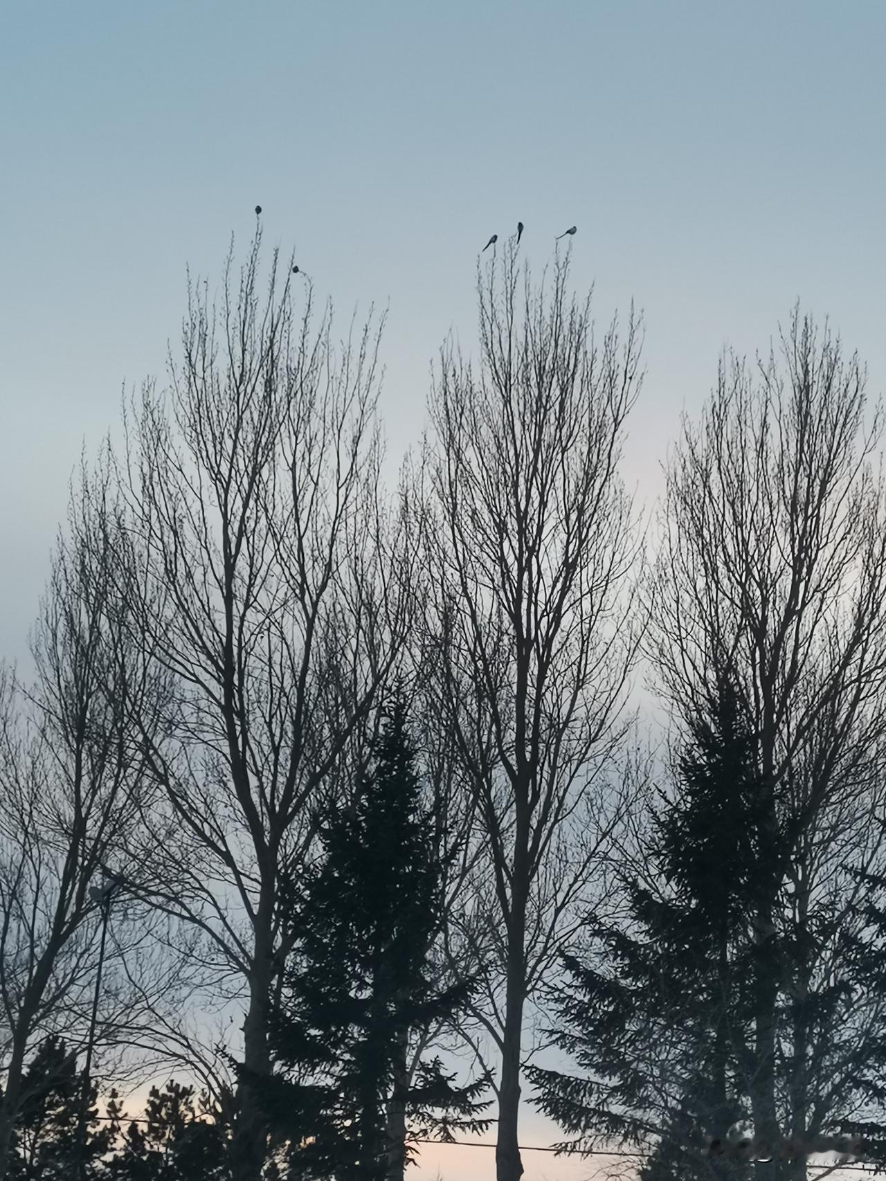 今晚23点！U23国足冲冠战，全国球迷都在等这一场！
 
今晚23点，沙特吉达的