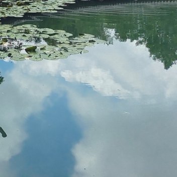 阳光信用🌸每日一善每一分收获，都来自你坚持不懈的努力；每一分汗水，都是你成功的