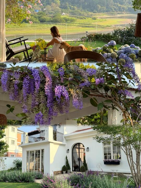 我家的人间四月天🌿🌷🌸