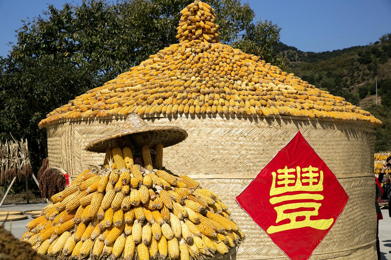 河南打造中原粮仓，真的是把“中原熟，天下足”这句老话从愿景变成了实打实的底气。