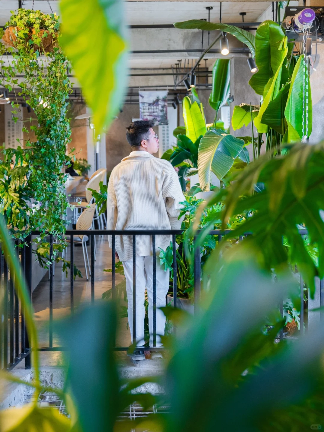 来云南旅行必吃❗️ 野生菌石锅一鲜到底