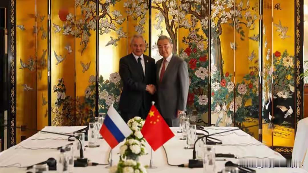 新德里会谈释放关键信号！绍伊古当面提出两大倡议，俄方迫切寻求中方鼎力支持
 
近
