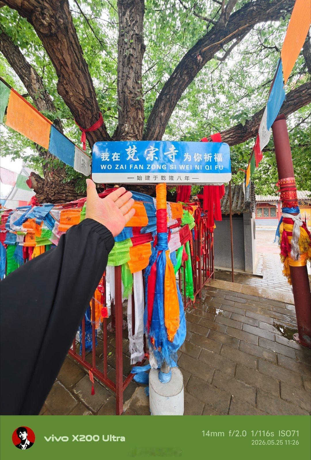 在这里给理想车友们祈福了 