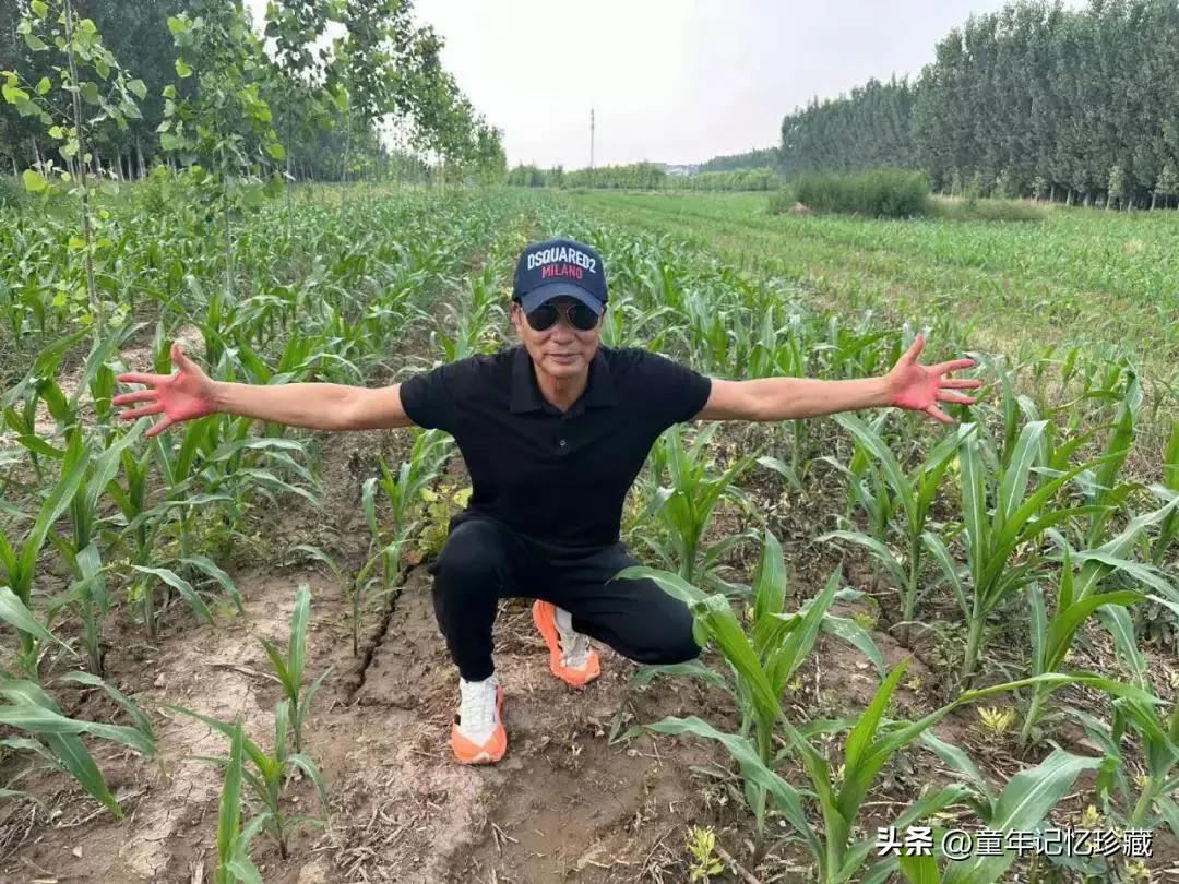 影帝任达华对自己是山东人十分的自豪，近日，他又在个人主页分享在山东老家玉米地的照