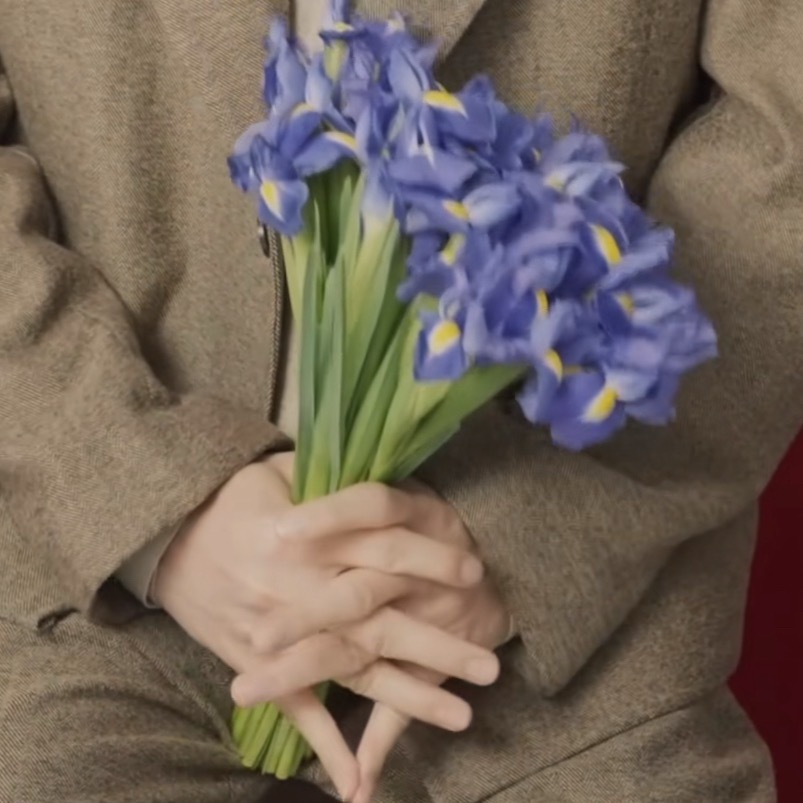 鸢尾花张真源 相思锁
