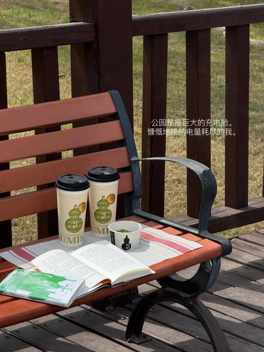 公园是座巨大的充电舱。