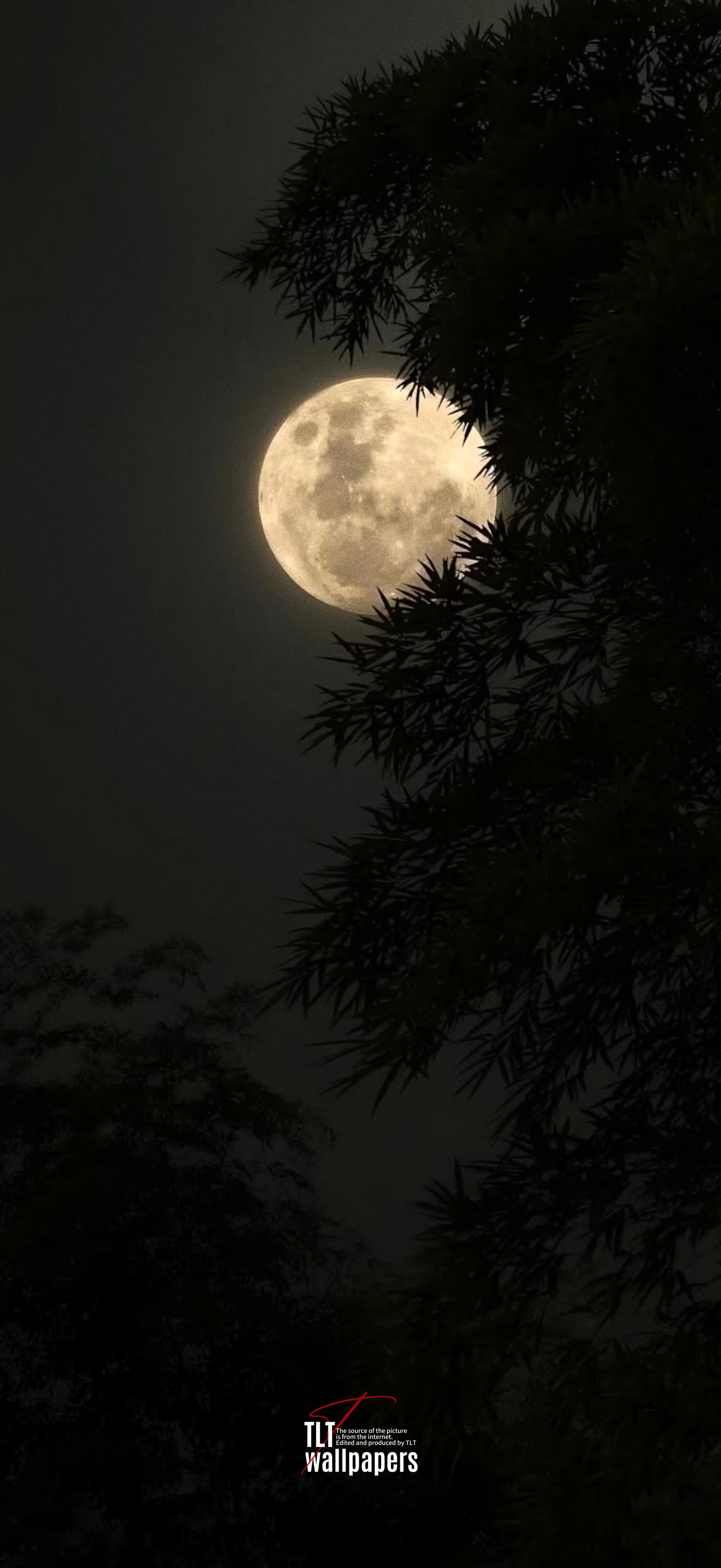 壁纸用不完  月圆人安大家中秋快乐🌕壁纸壁纸用不完手机壁纸高清壁纸