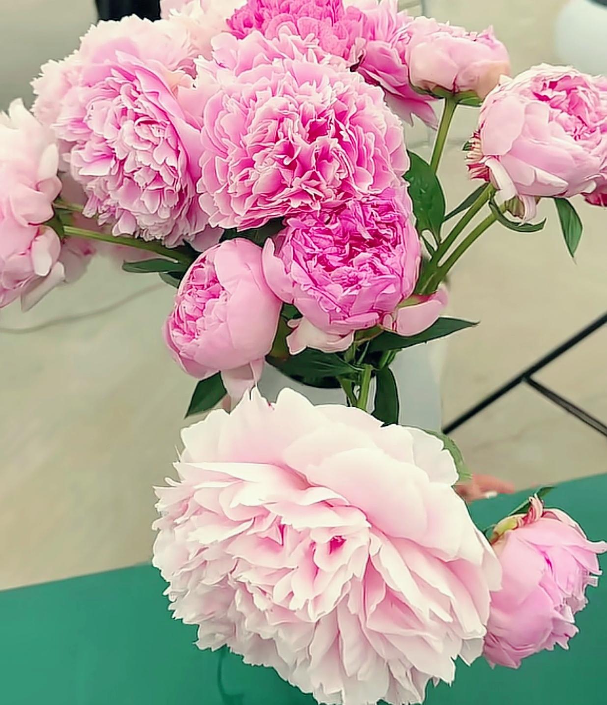 晒一晒随手一拍美丽的花朵随手拍～