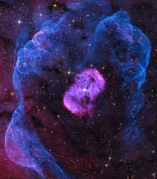 这里展示的是“龙蛋”星云！🐉在这片美丽、对称的NGC 6164/6165星云背