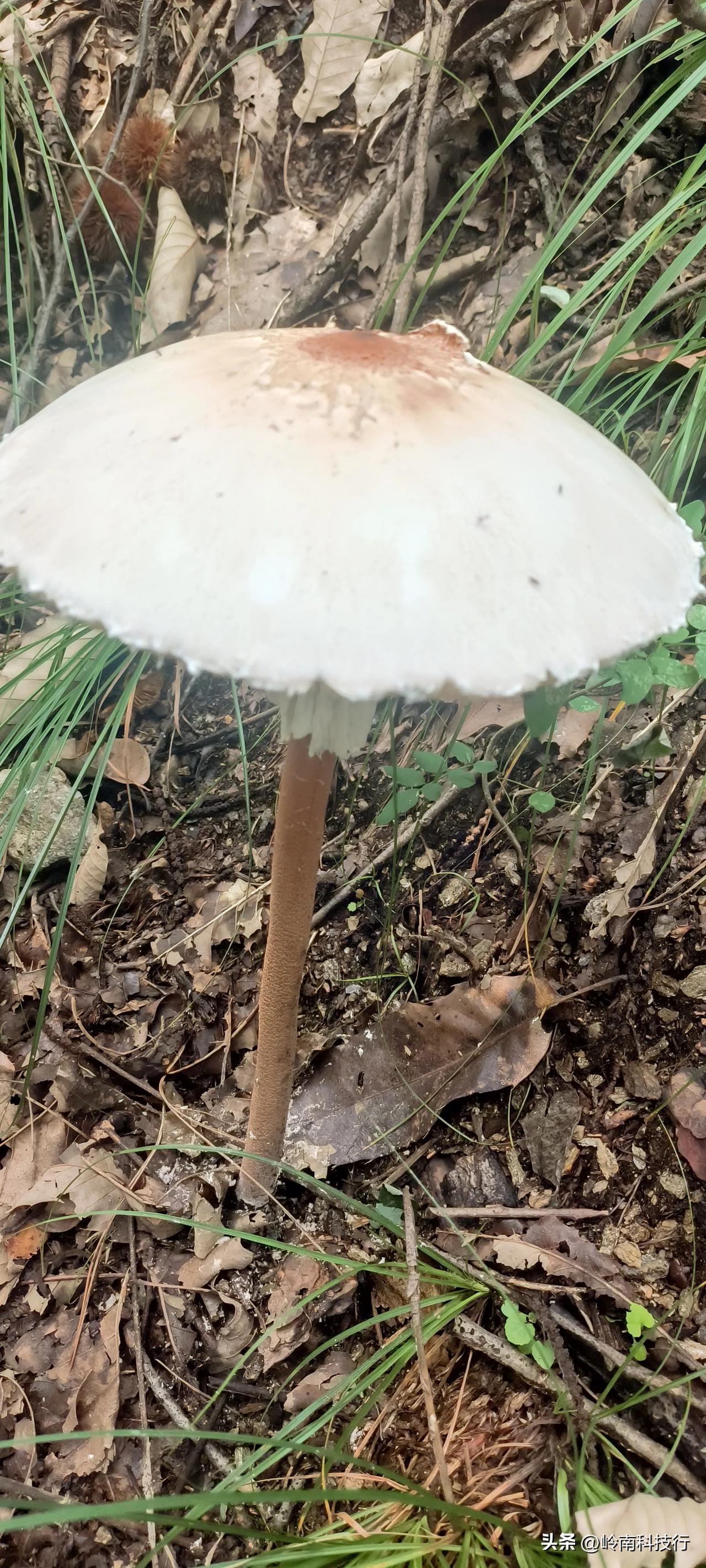 朋友今年65了，月退休金8500元，根本花不完。为了能多拿几年退休金，每天坚持锻