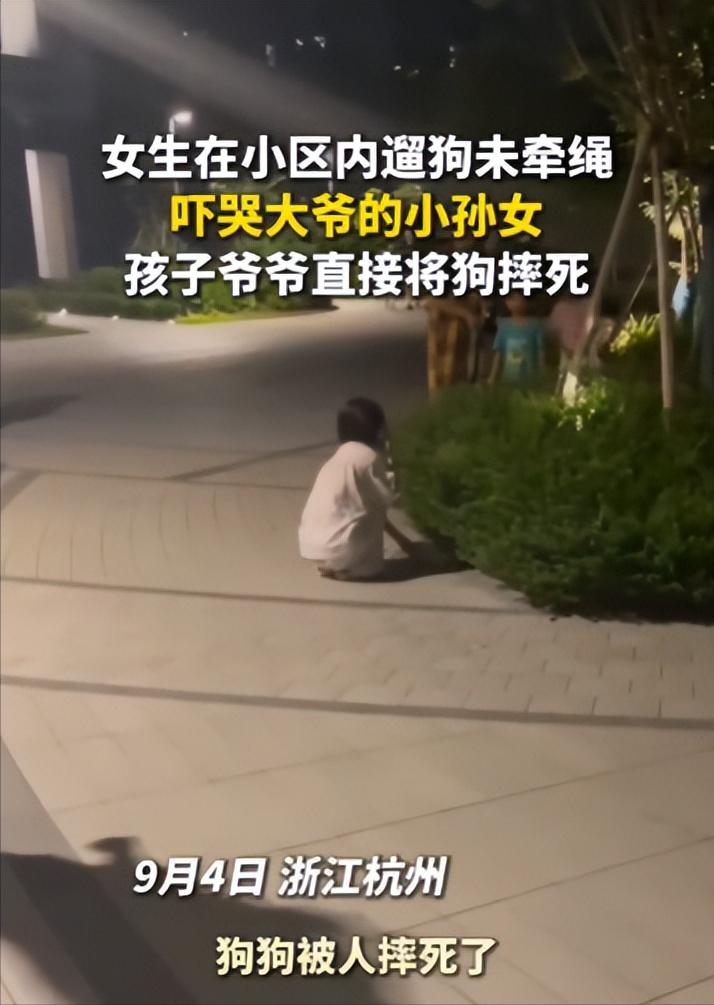 “不栓绳就摔死！”9月4日，浙江杭州一女子在小区遛狗不牵绳，吓哭小女孩后仍置之不