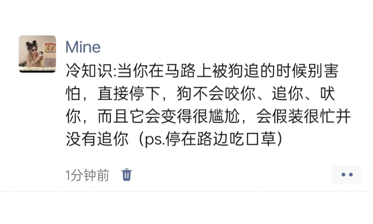 在马路上被狗追的时候千万别跑！ ​​​