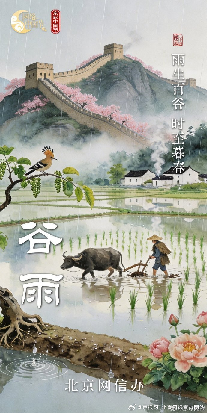 今日谷雨雨润百谷，万物逢时，不负春光，向阳而行#网络中国节##京彩中国节# 