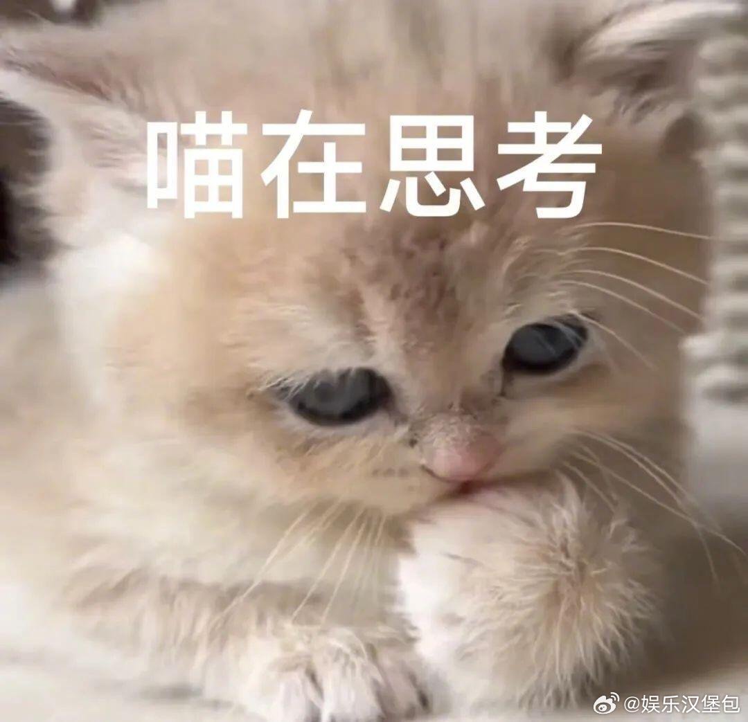 刘震云劝告中国式家长放手 你眼里的“正确答案”，可能只是你人生的选项。孩子有权利