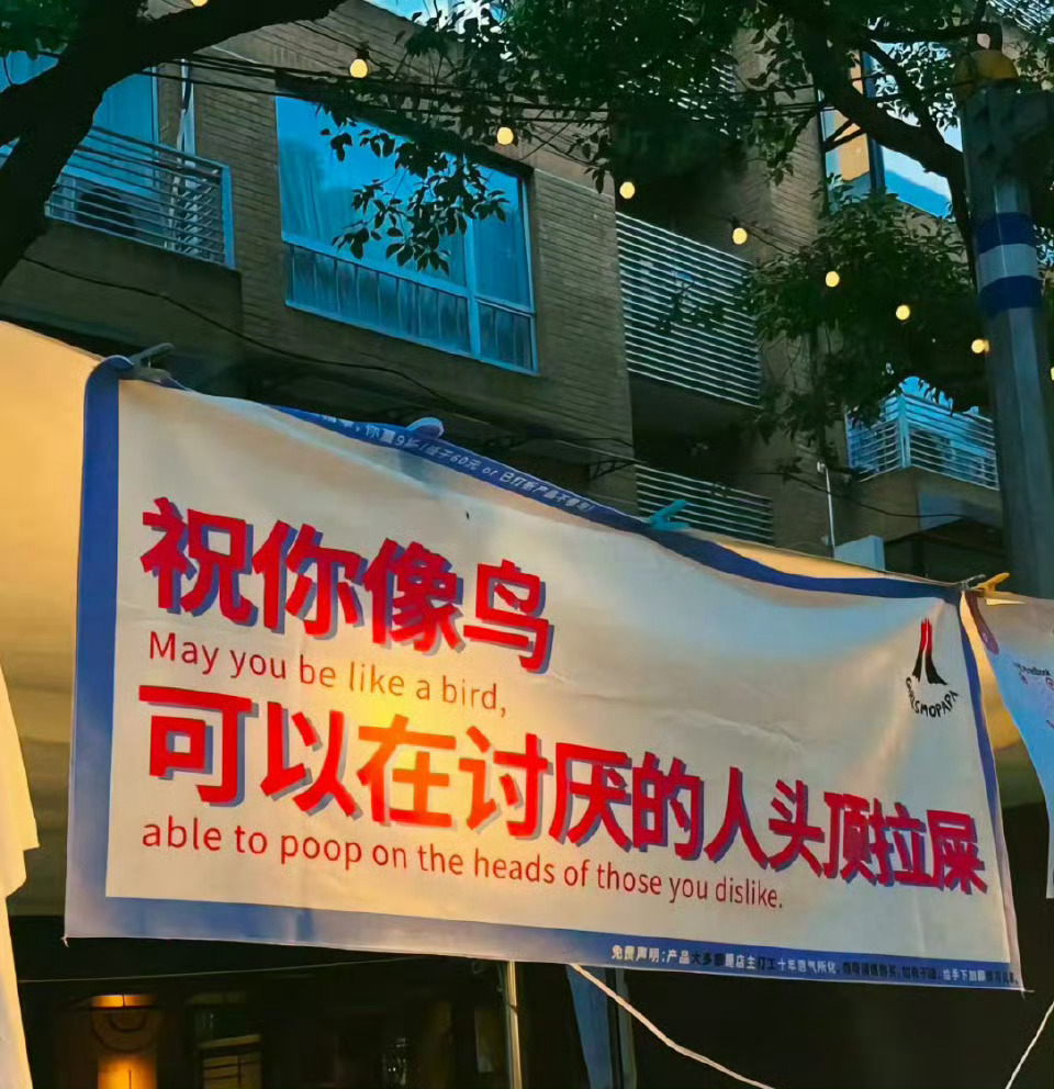 祝你像鸟[doge]梗图 ​​​