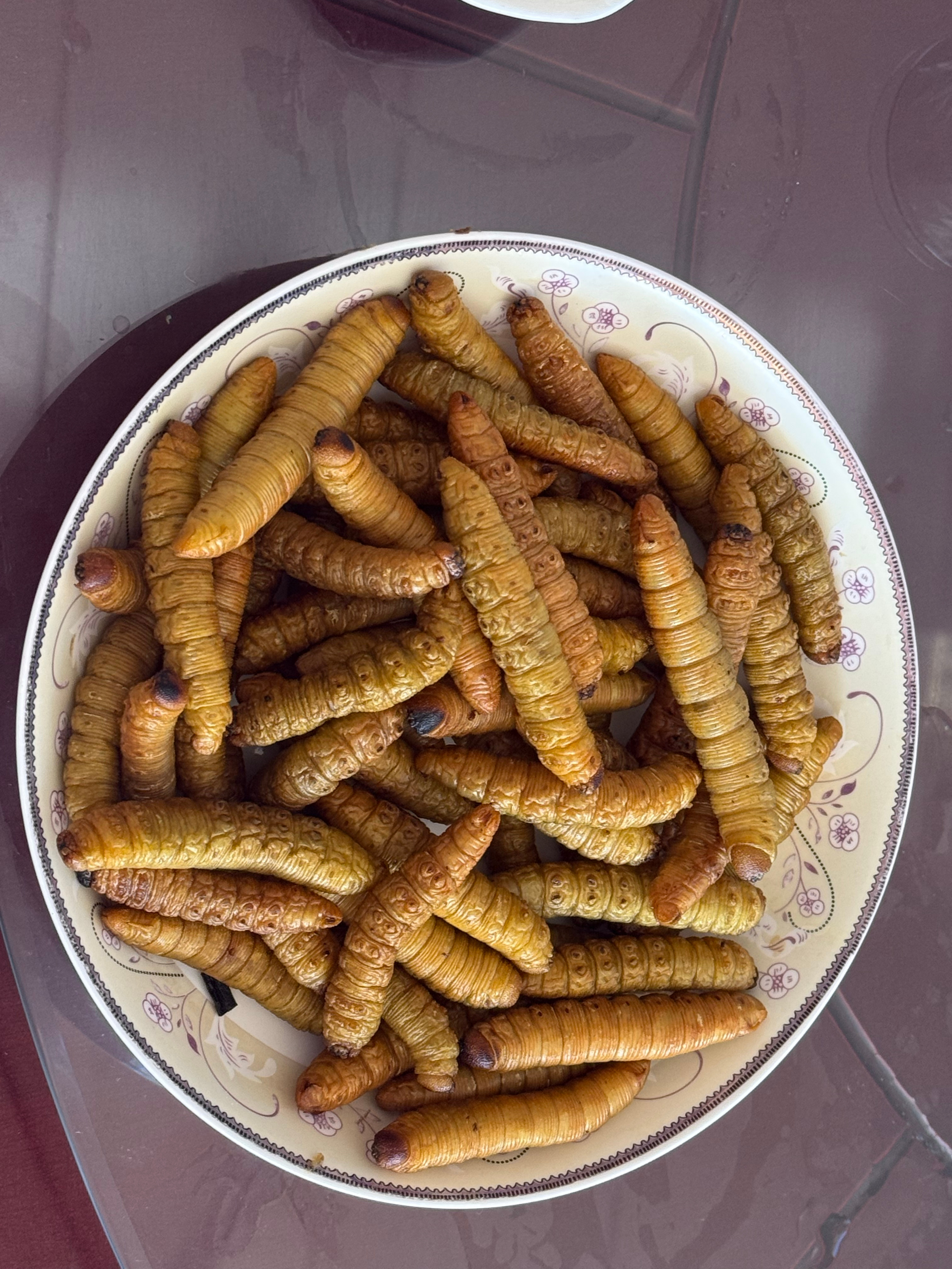 好吃的虫子🐛 ​​​