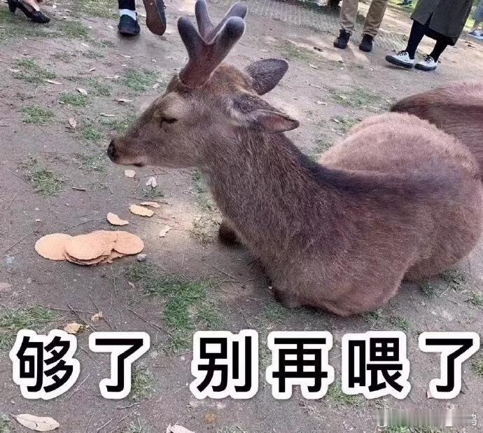 神奇的一天，前两场比赛都太神了...什么审判之投2.0啊，nba肯定是往球里加了