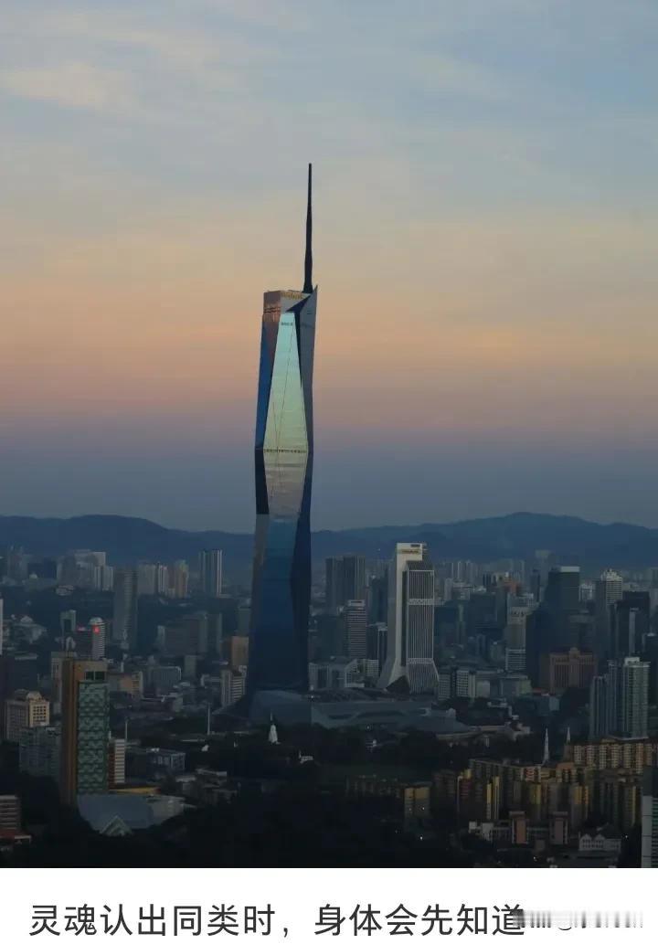 灵魂认出同类，身体最先，知道，我觉得学文科的人就是能胡扯，非帅即美，关灵魂什么事