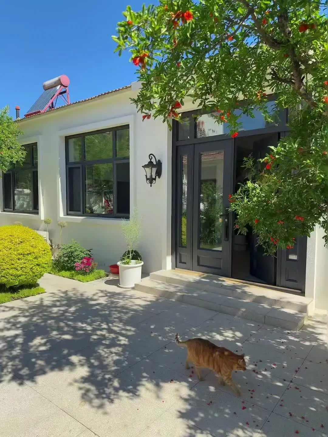 我在小县城买的房子长这样 太喜欢有院子的房子了。