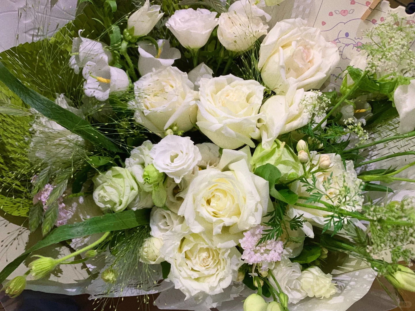 老鼠身上的虫子怎么会这么毒