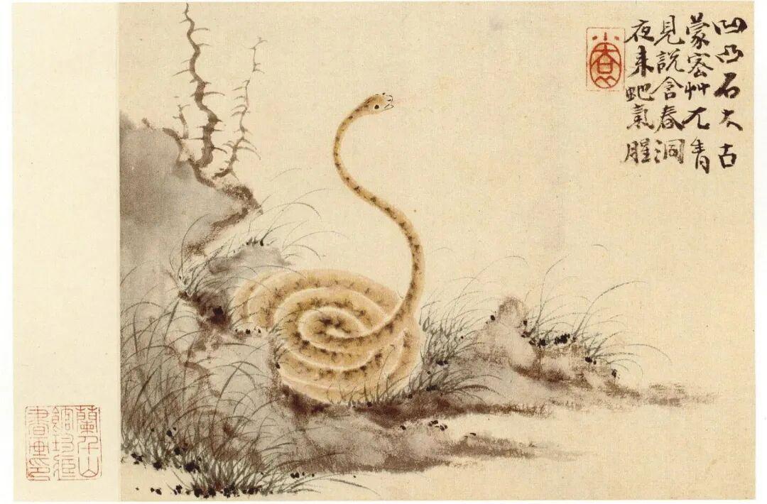 华喦（1682 - 1756）可是清代扬州画派的代表，也是“扬州八怪”之一。他出