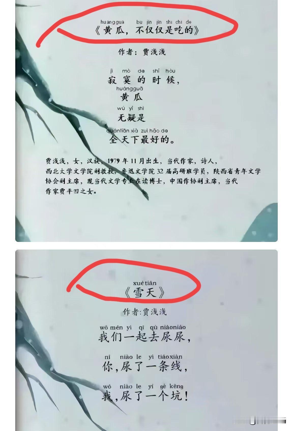 作为一个高校教师，贾浅浅写诗写来写去离不开屎、尿、黄瓜，这水平真让人看不下去。咱