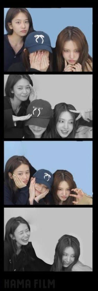 🐶🐯🐱乱七八糟的四宫格三个小乐乐🥰 