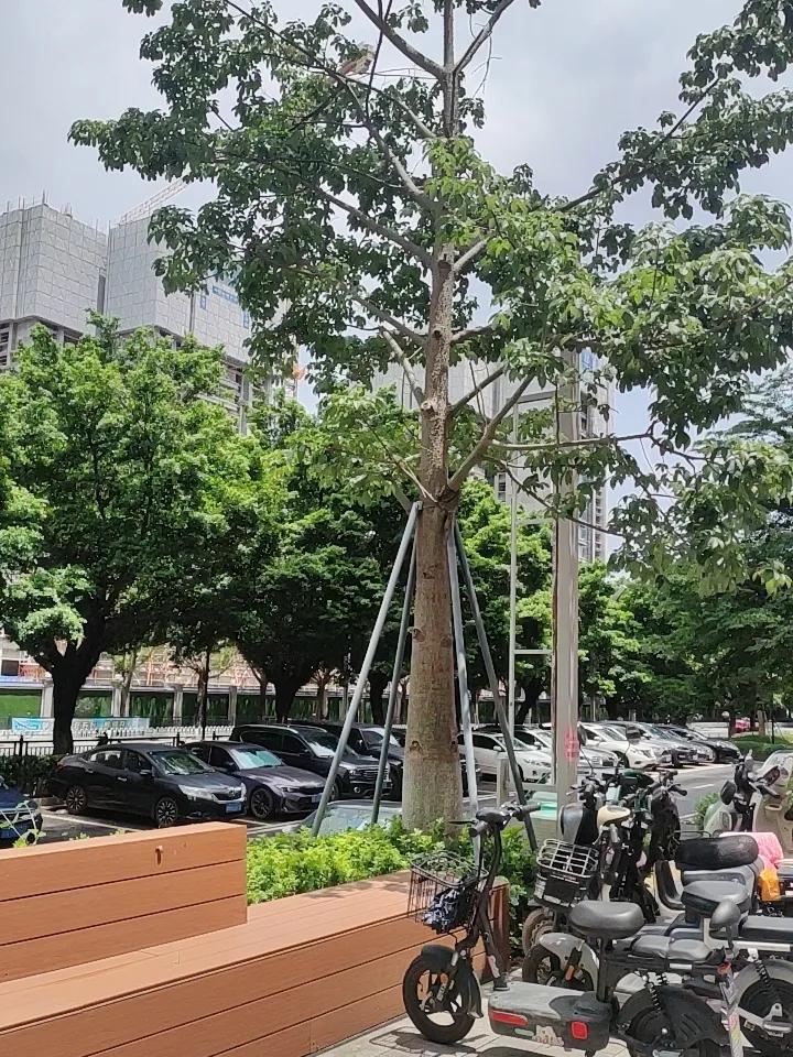 出门吃个饭外，今天的天气很好，但无敌的热。好热呀！