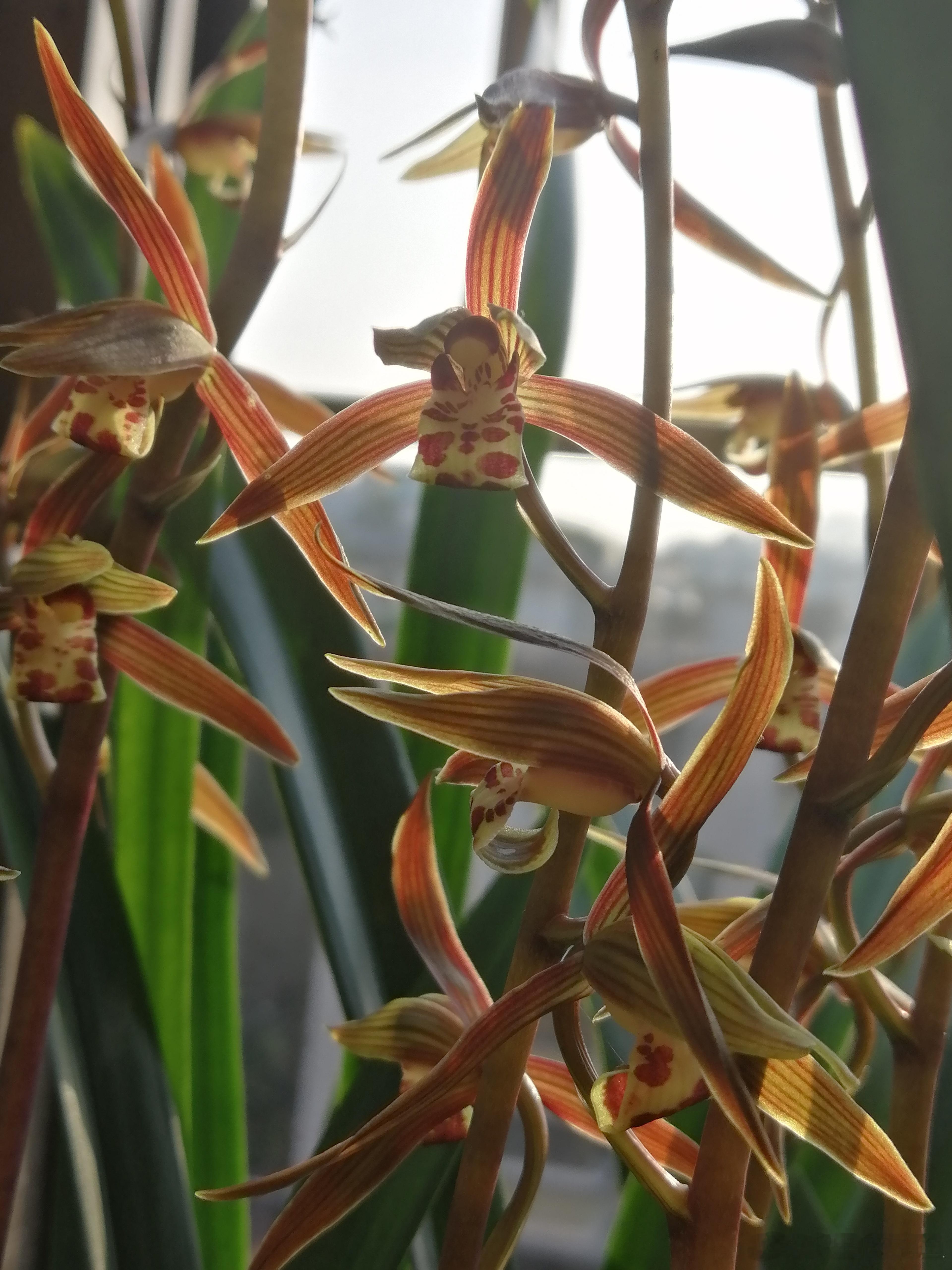 生活手记今日立春，万物复苏，新的开始，一切美好正在发生。 