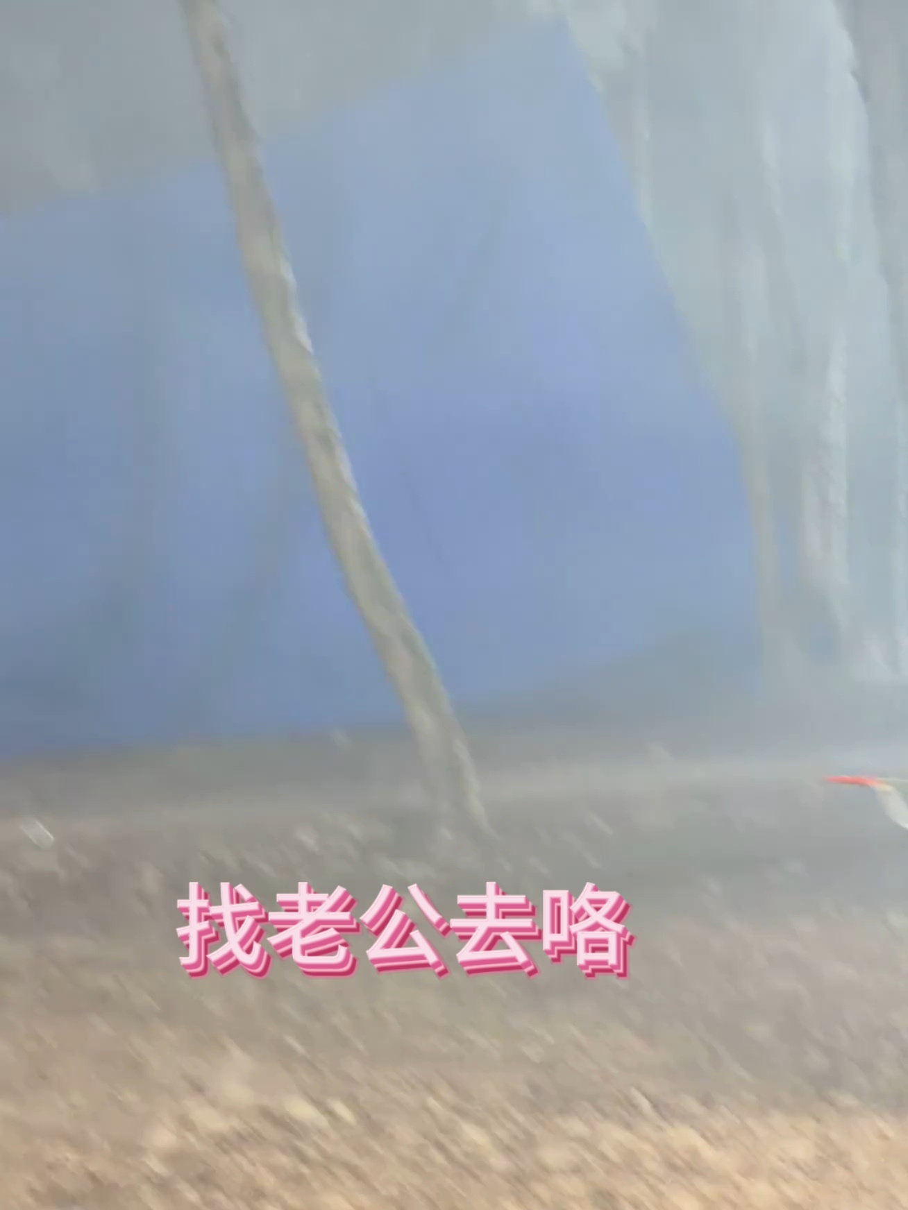 西红柿炒鸡蛋找老公版 