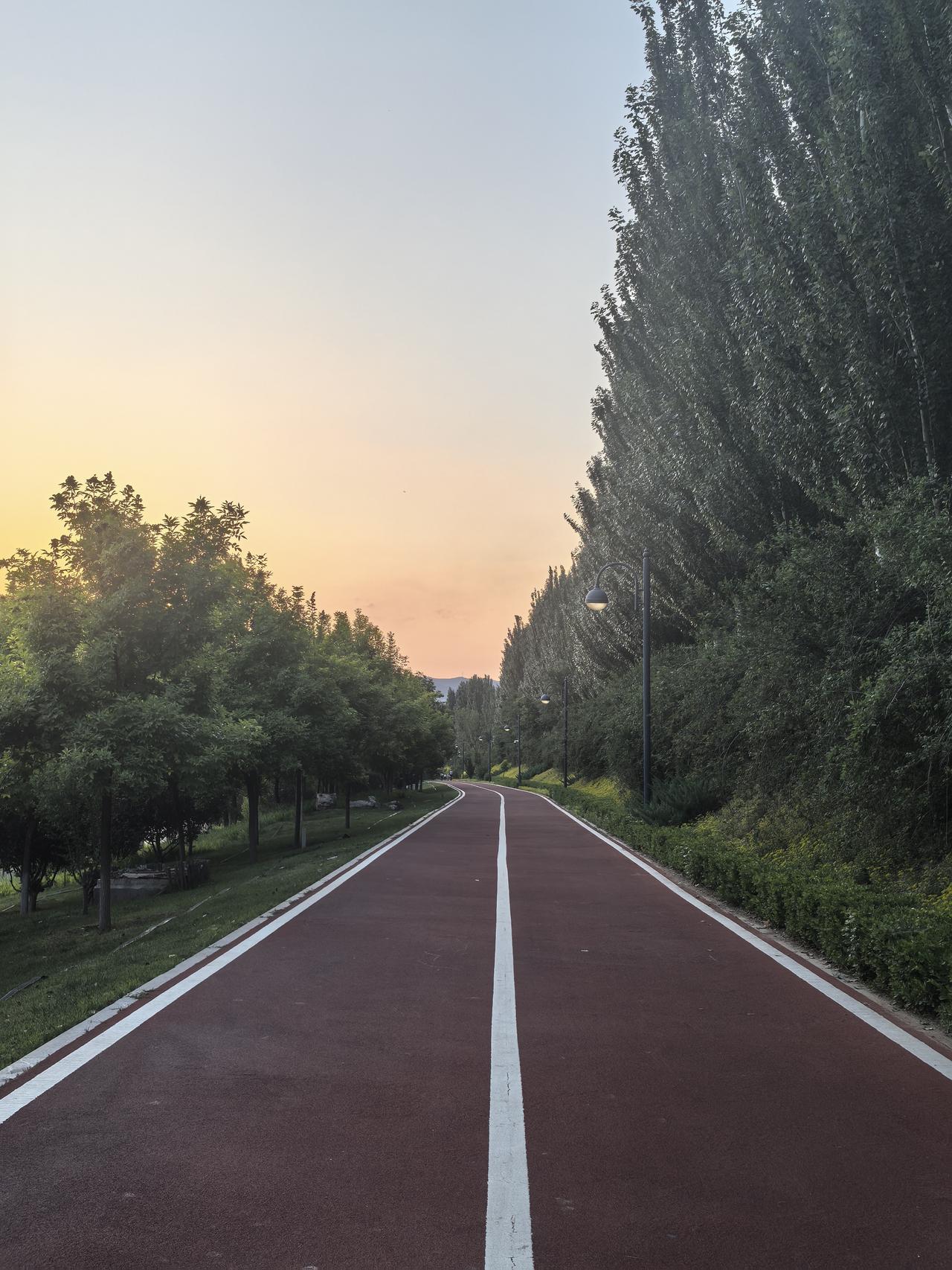 晨跑的美好时光，阳光洒在林荫小道上。🌞🏃‍♀️