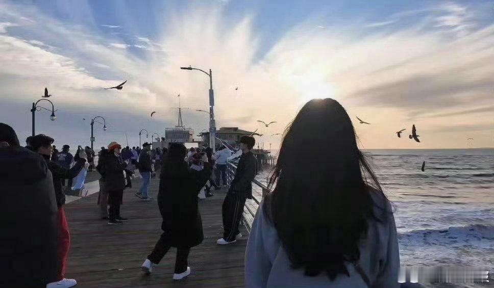 家人们，速看任嘉伦国外出片小插曲，经纪人拿薯条引海鸥，这画面又搞笑又温馨，坐等成