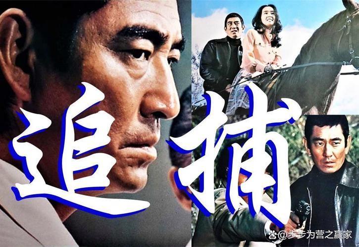 《追捕》这部经典影片，至今仍给中国观众留下难忘印象。为什么到了2026年，它反而