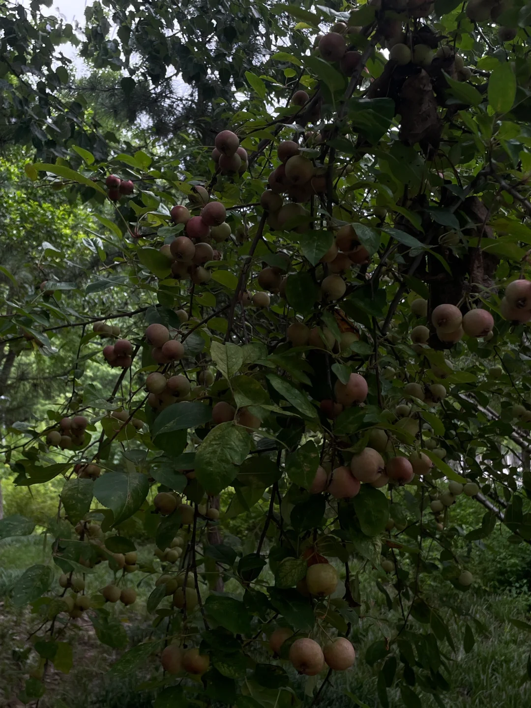 这是一个视频信息过剩的时代。