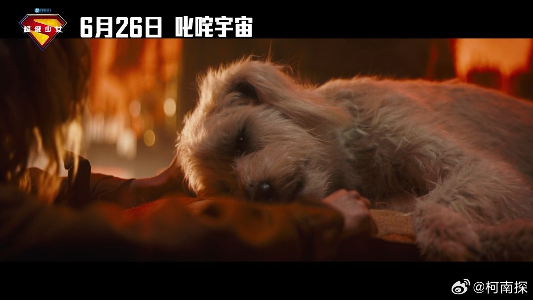 超级少女终极预告 原本对新作抱有疑虑，看完《超级少女》终极预告彻底改观。演员把外