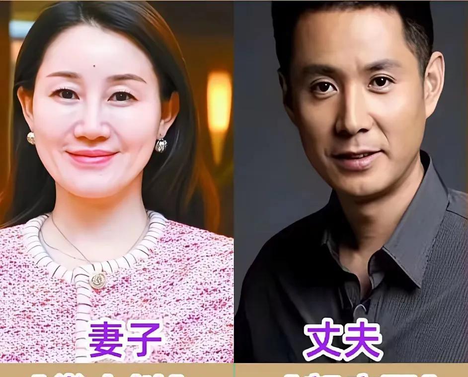 菜场里那个一脸茫然的男人，叫刘青云。
他老婆，NASA级别的机械工程硕士，港姐冠