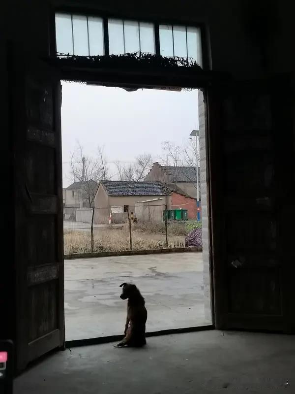 节后返程家人门口送别满是牵挂 节后返程，家门口的送别总是满含牵挂。春节一家人热热