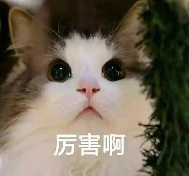 #苏州一超市开业卷出新高度# 看到新超市的样子，我都羡慕了，居然可以方便地享受美