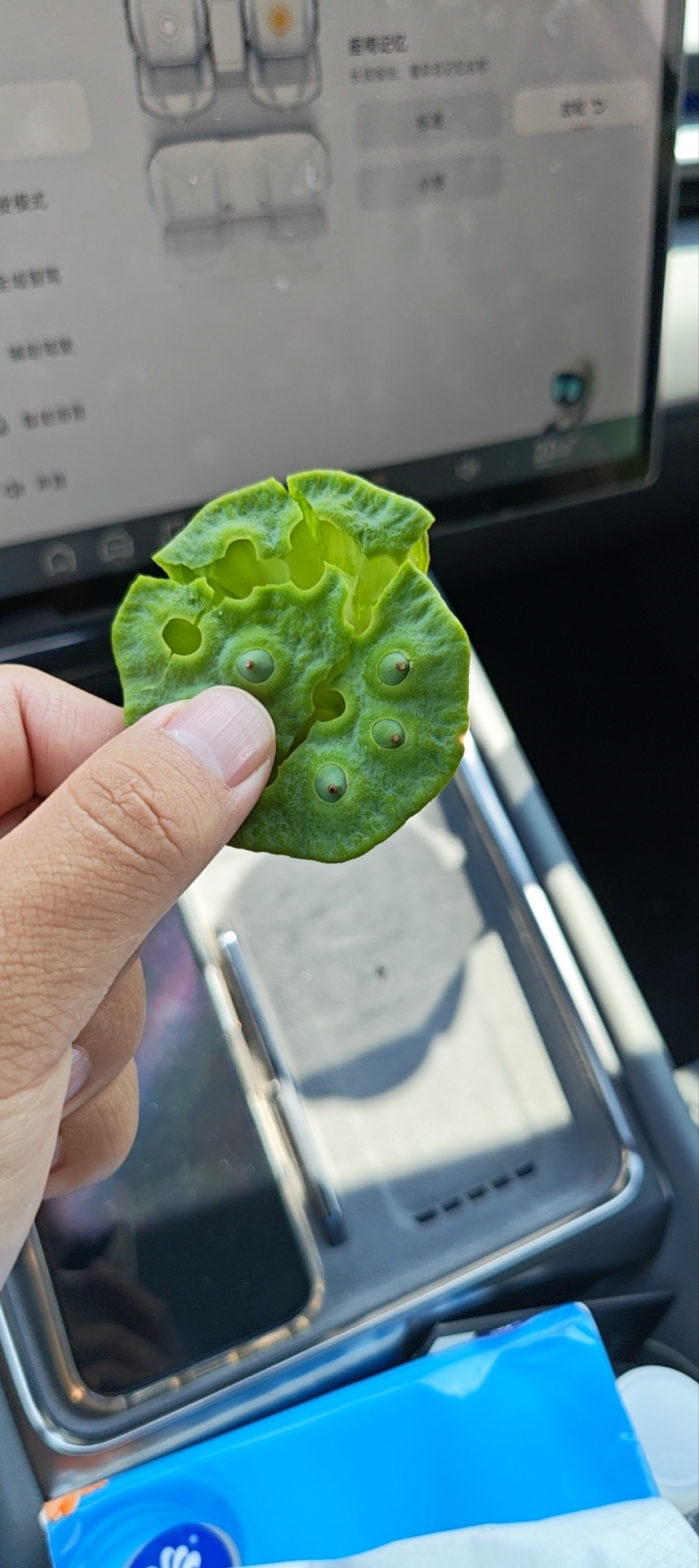 路边的野花不能采，路边的莲蓬可以顺[doge][doge]虽然小个，但是真甜！ 