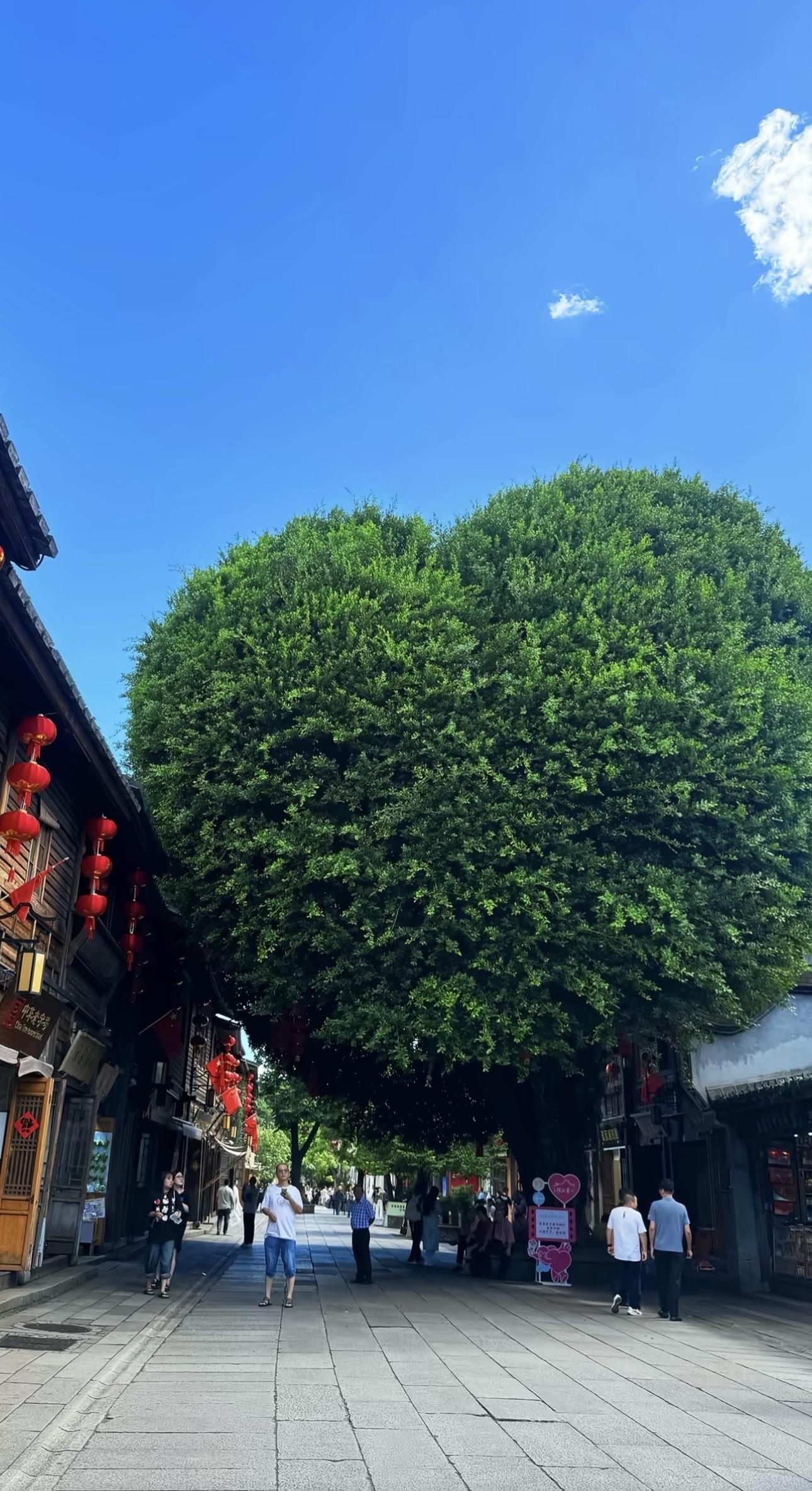 故地可以重游 但故人却不会再相见