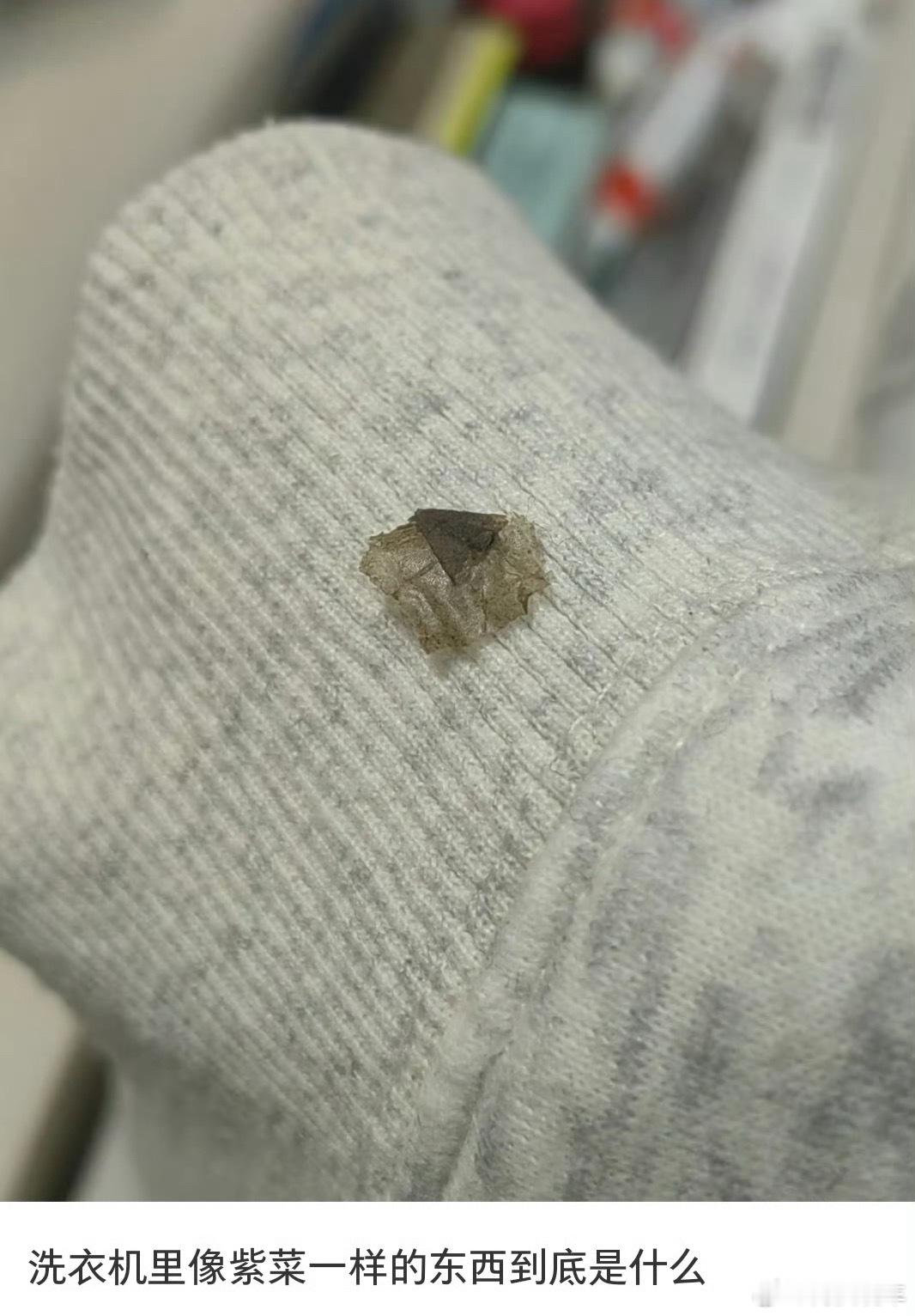 洗衣机里像紫菜的东西是什么，你说洗衣机洗完脏就完事儿了，还说像紫菜。一旦接受了这