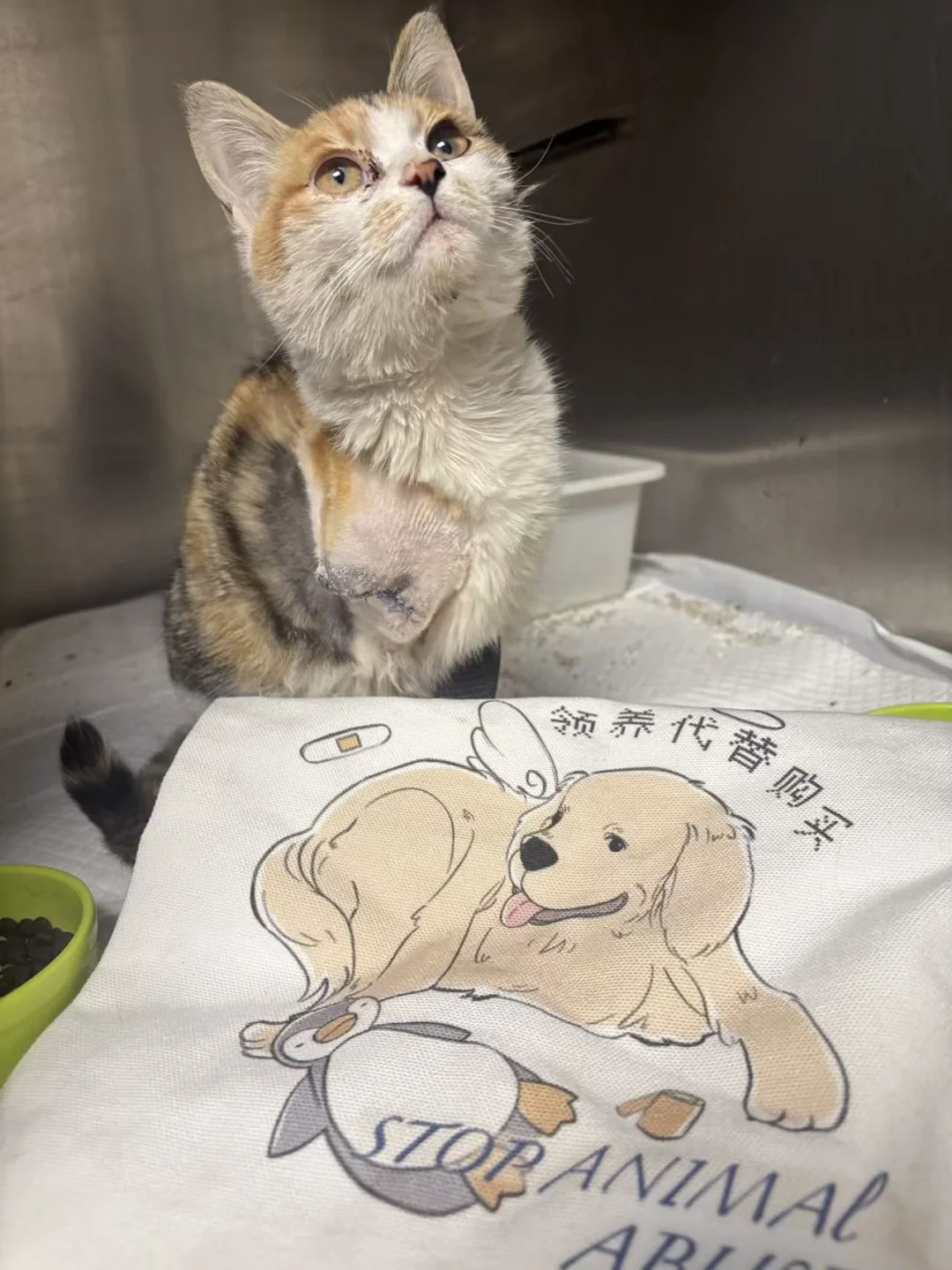 人，咪来卖货赚点儿手术费