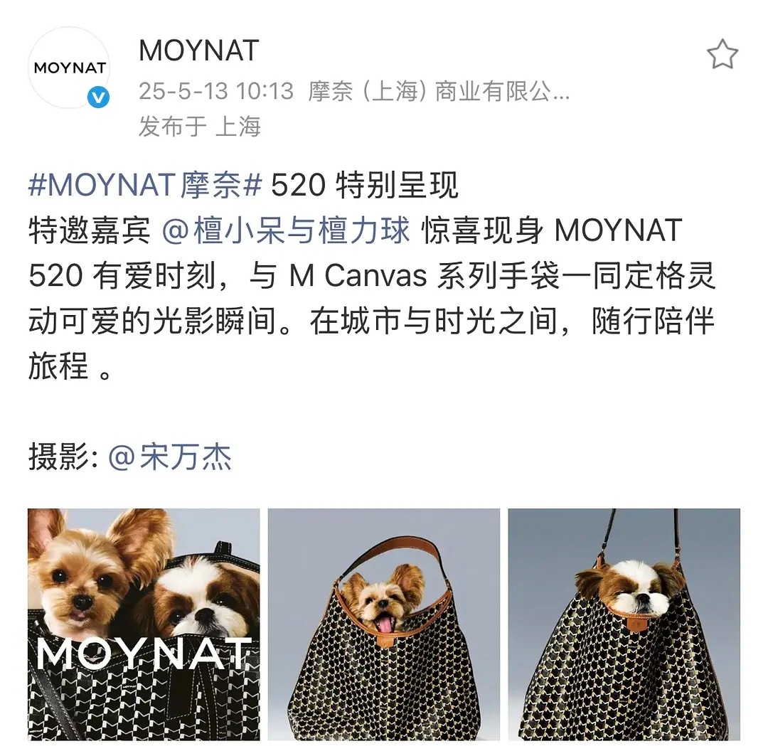 檀健次的狗都升t啦！太牛了，呆球也是子凭父贵了哈哈哈。。 