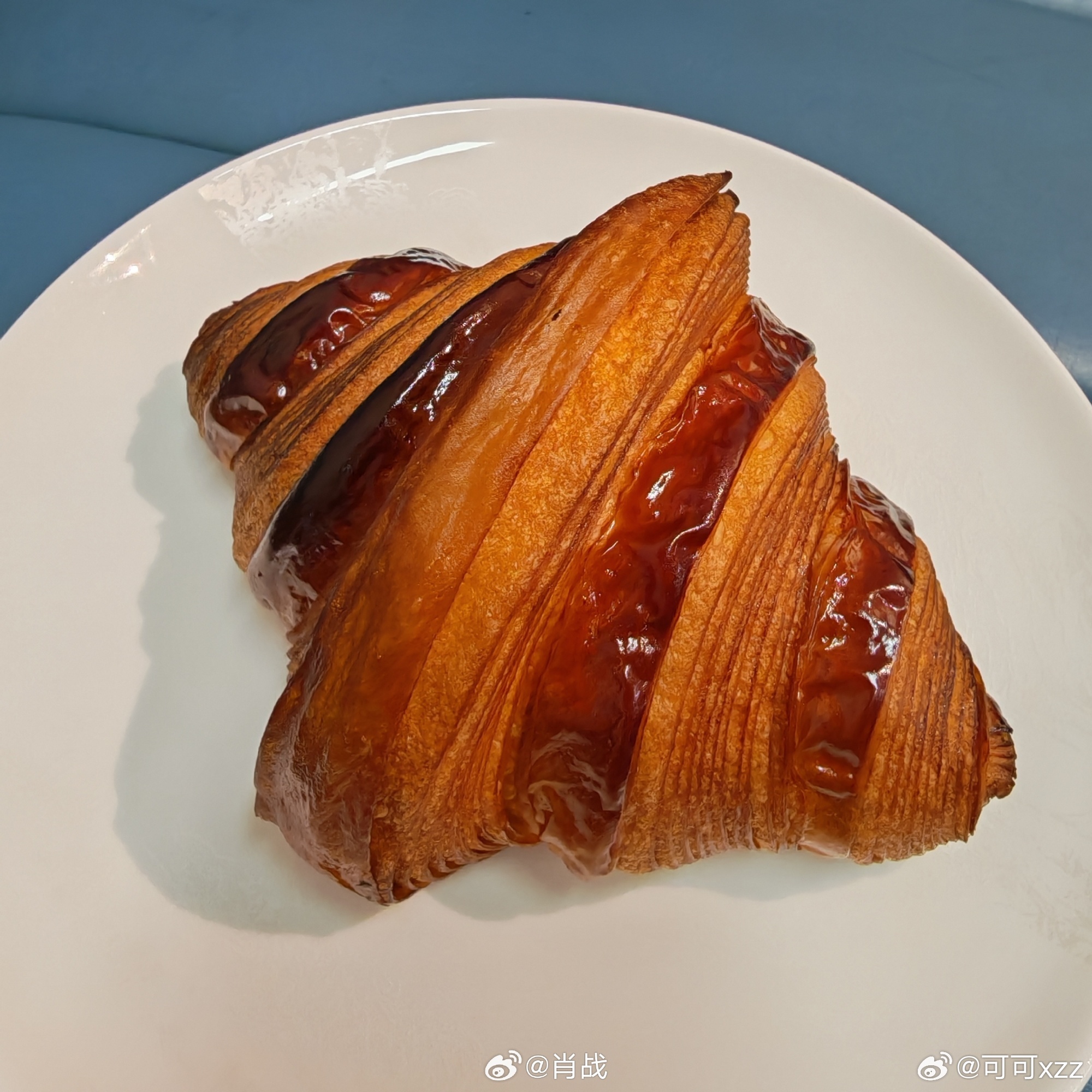 肖战小面包唯粉肖战 小飞侠一生要强，但都要和小面包抢肖战，还抢不过，太气人了